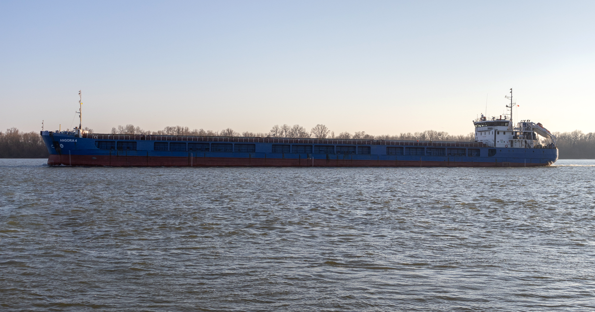 The blue-hulled general cargo ship Angora 4, later renamed Royad Mammadov, sailing on the Danube at Izmail, Ukraine, February 2022. Photograph: VileGecko / Wikimedia Commons, CC BY-SA 4.0.