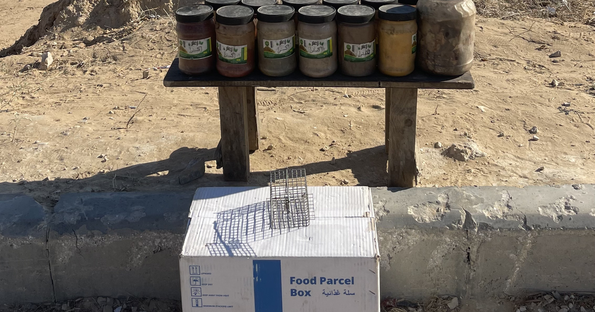 File photo from the 2023–25 Gaza war: a cardboard box labelled "Food Parcel Box" in English and Arabic sits on a concrete kerb below a wooden bench lined with jars of food, on sandy ground.